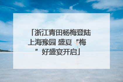 浙江青田杨梅登陆上海豫园 盛夏“梅”好盛宴开启