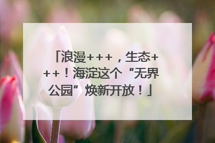 浪漫+++，生态+++！海淀这个“无界公园”焕新开放！