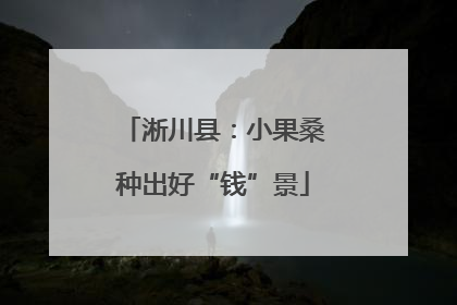 淅川县：小果桑种出好“钱”景