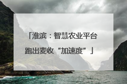 淮滨：智慧农业平台跑出麦收“加速度”