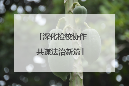 深化检校协作 共谋法治新篇