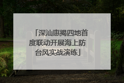 深汕惠揭四地首度联动开展海上防台风实战演练