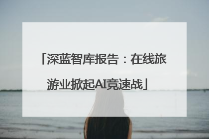 深蓝智库报告：在线旅游业掀起AI竞速战