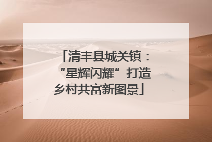 清丰县城关镇：“星辉闪耀”打造乡村共富新图景
