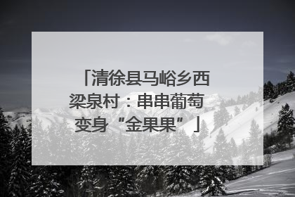 清徐县马峪乡西梁泉村：串串葡萄变身“金果果”