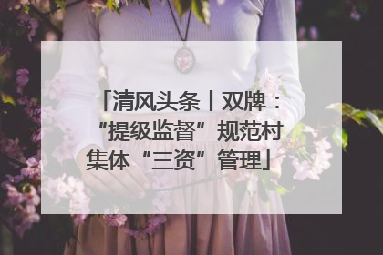 清风头条丨双牌：“提级监督”规范村集体“三资”管理