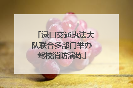 渌口交通执法大队联合多部门举办驾校消防演练
