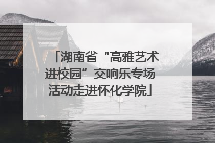 湖南省“高雅艺术进校园”交响乐专场活动走进怀化学院