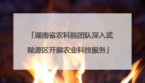 湖南省农科院团队深入武陵源区开展农业科技服务