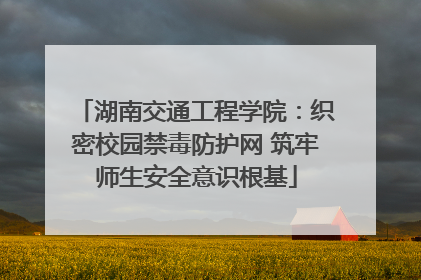 湖南交通工程学院：织密校园禁毒防护网 筑牢师生安全意识根基