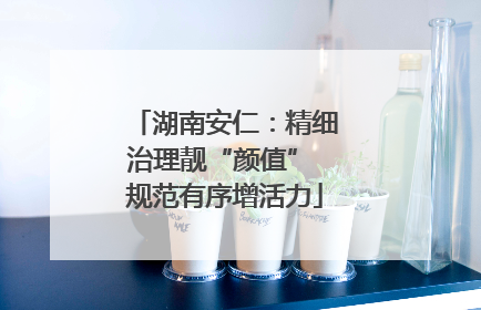 湖南安仁：精细治理靓“颜值” 规范有序增活力