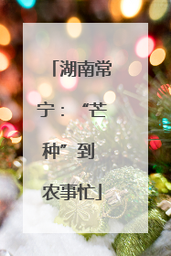 湖南常宁：“芒种”到 农事忙
