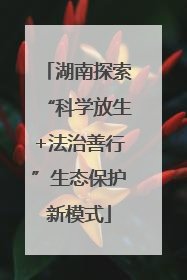 湖南探索“科学放生+法治善行”生态保护新模式