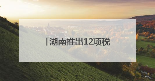 湖南推出12项税务新政！减税降费、便民办税，为民企发展“减负加油”