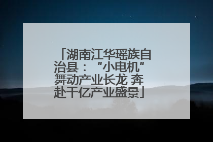湖南江华瑶族自治县：“小电机”舞动产业长龙 奔赴千亿产业盛景