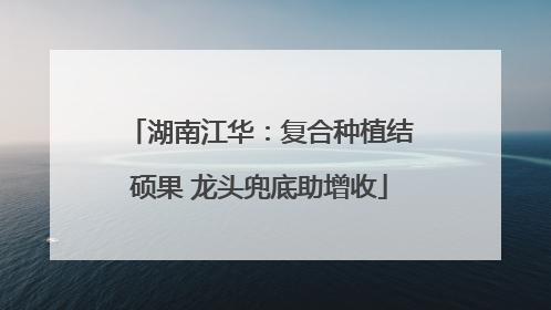 湖南江华：复合种植结硕果 龙头兜底助增收