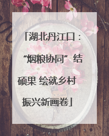 湖北丹江口：“烟粮协同”结硕果 绘就乡村振兴新画卷