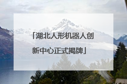 湖北人形机器人创新中心正式揭牌