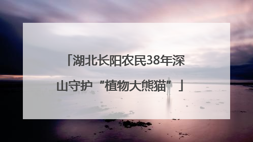 湖北长阳农民38年深山守护“植物大熊猫”