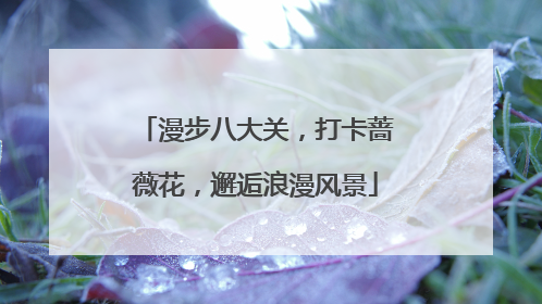 漫步八大关，打卡蔷薇花，邂逅浪漫风景