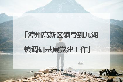 漳州高新区领导到九湖镇调研基层党建工作