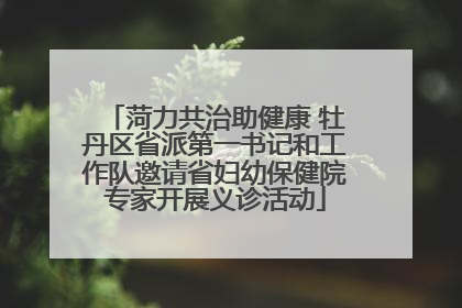 菏力共治助健康 牡丹区省派第一书记和工作队邀请省妇幼保健院专家开展义诊活动