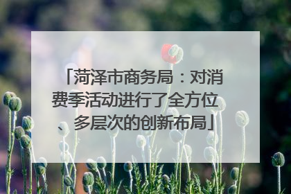 菏泽市商务局：对消费季活动进行了全方位、多层次的创新布局