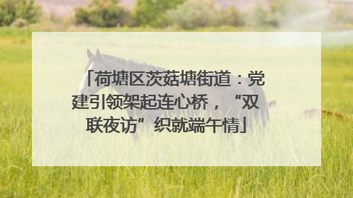 荷塘区茨菇塘街道：党建引领架起连心桥，“双联夜访”织就端午情