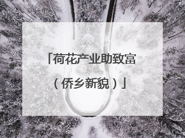 荷花产业助致富（侨乡新貌）