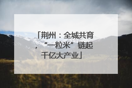 荆州：全城共育，“一粒米”链起千亿大产业