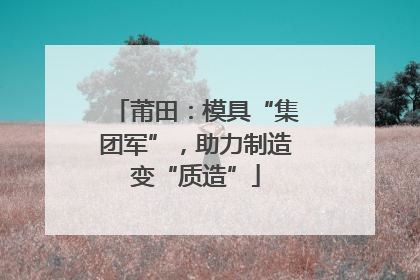 莆田：模具“集团军”，助力制造变“质造”