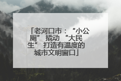老河口市：“小公厕” 撬动 “大民生” 打造有温度的城市文明窗口