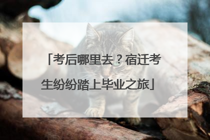 考后哪里去？宿迁考生纷纷踏上毕业之旅