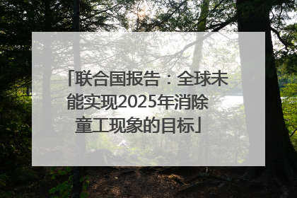 联合国报告：全球未能实现2025年消除童工现象的目标
