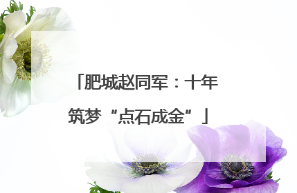 肥城赵同军：十年筑梦“点石成金”