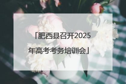 肥西县召开2025年高考考务培训会