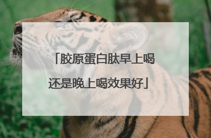 胶原蛋白肽早上喝还是晚上喝效果好