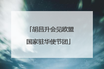 胡昌升会见欧盟国家驻华使节团