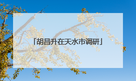 胡昌升在天水市调研