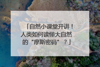 自然小课堂开讲！人类如何读懂大自然的“摩斯密码”？