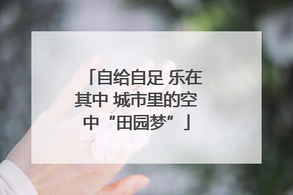 自给自足 乐在其中 城市里的空中“田园梦”
