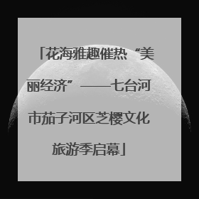 花海雅趣催热“美丽经济”——七台河市茄子河区芝樱文化旅游季启幕