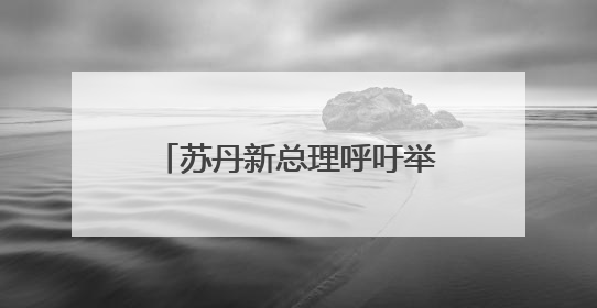 苏丹新总理呼吁举行全面政治对话