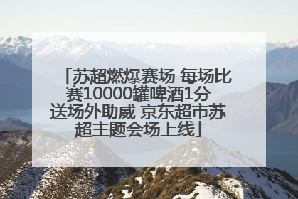 苏超燃爆赛场 每场比赛10000罐啤酒1分送场外助威 京东超市苏超主题会场上线