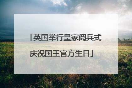 英国举行皇家阅兵式庆祝国王官方生日