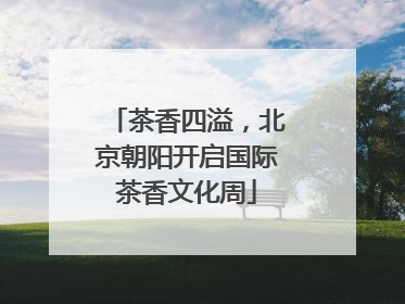 茶香四溢，北京朝阳开启国际茶香文化周