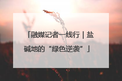 融媒记者一线行｜盐碱地的“绿色逆袭”