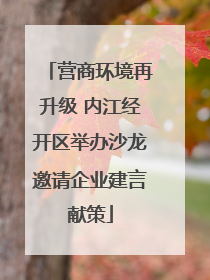 营商环境再升级 内江经开区举办沙龙邀请企业建言献策