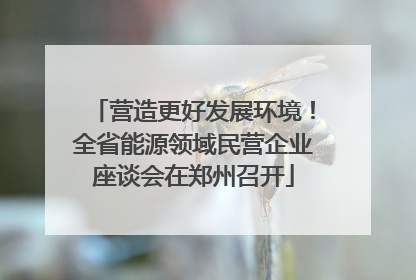营造更好发展环境！全省能源领域民营企业座谈会在郑州召开