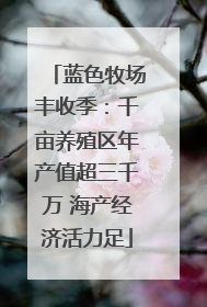 蓝色牧场丰收季：千亩养殖区年产值超三千万 海产经济活力足